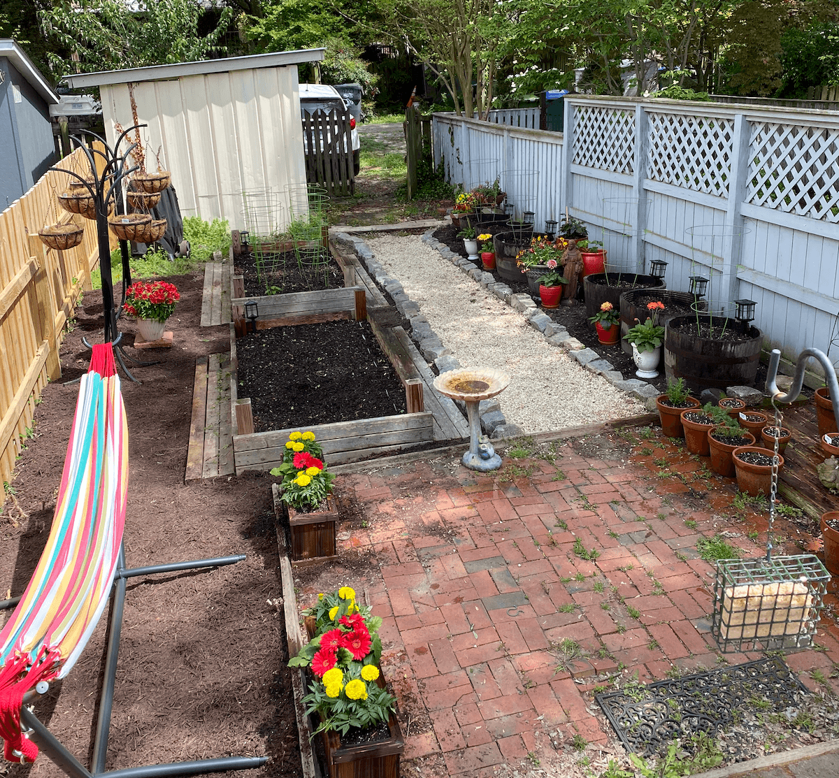 Backyard garden with two raised beds, a gravel path along a white lattice fence, a brick patio, and a striped hammock