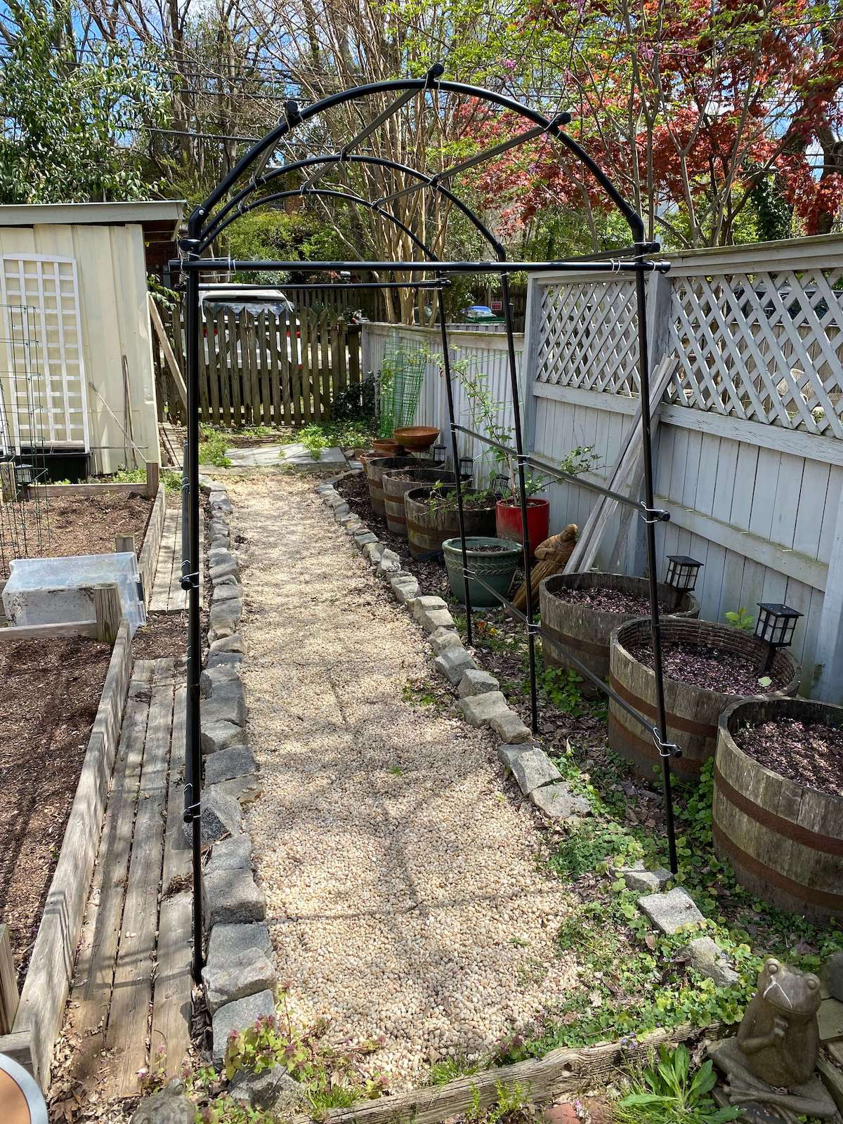A new black metal garden arch over the gravel path between the raised beds and whiskey barrels
