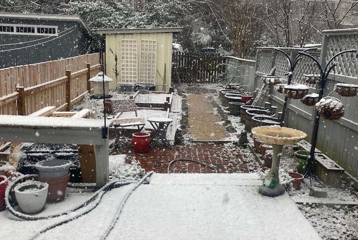 The backyard garden under a light dusting of snow