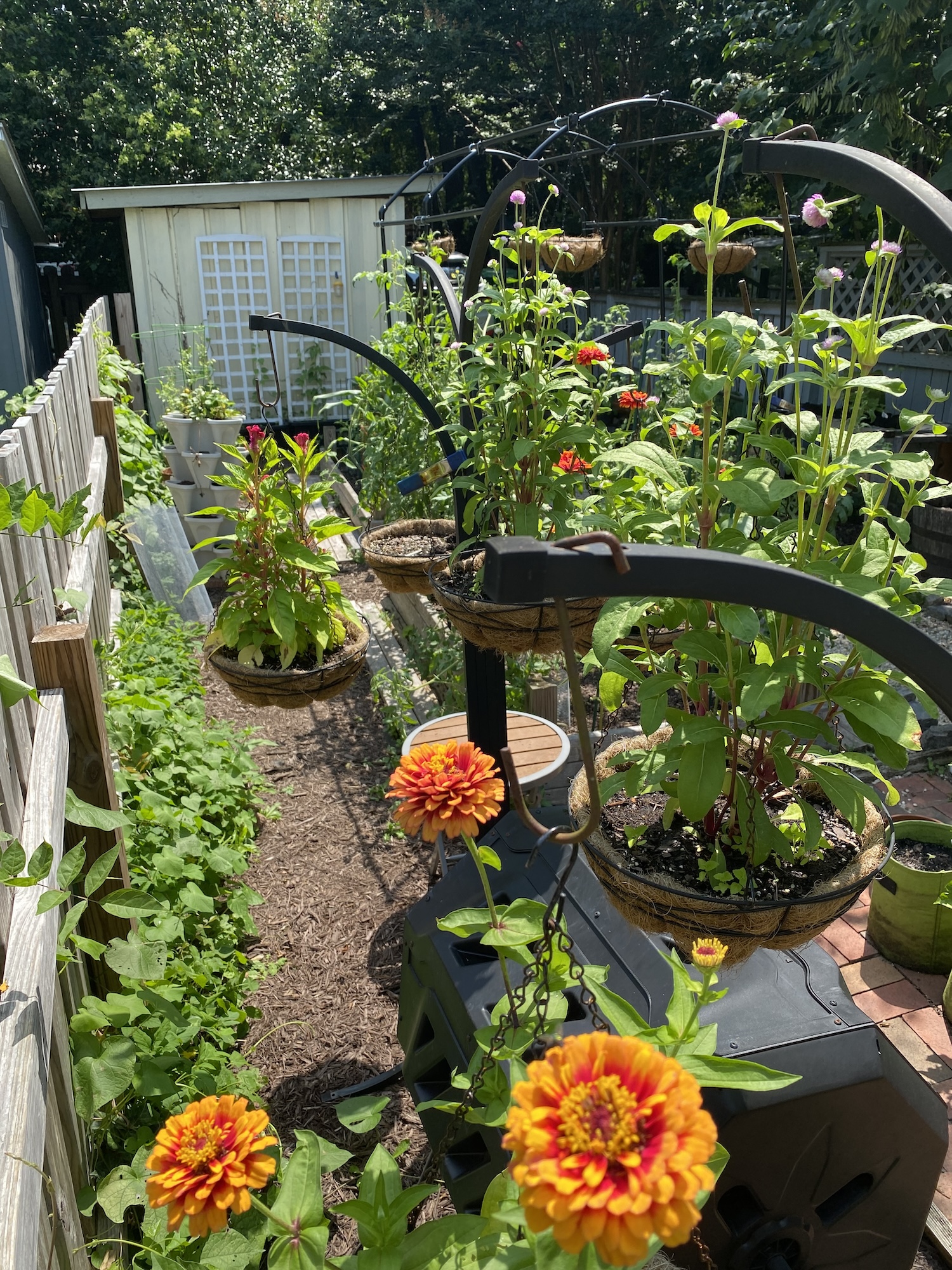 Hanging planters full of blooming orange zinnias and other flowers