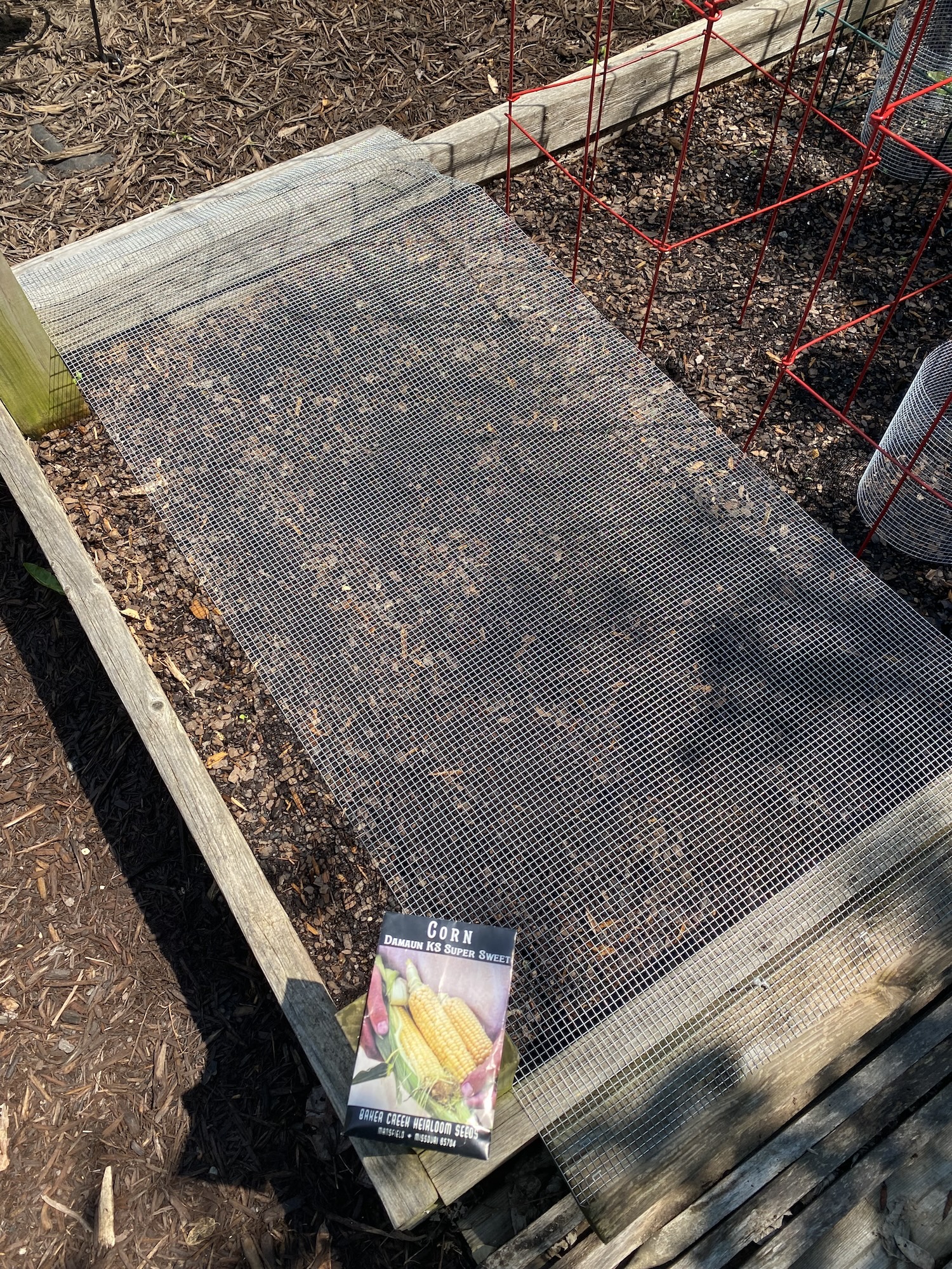 Chicken wire stretched over a wooden frame to cover the corn bed