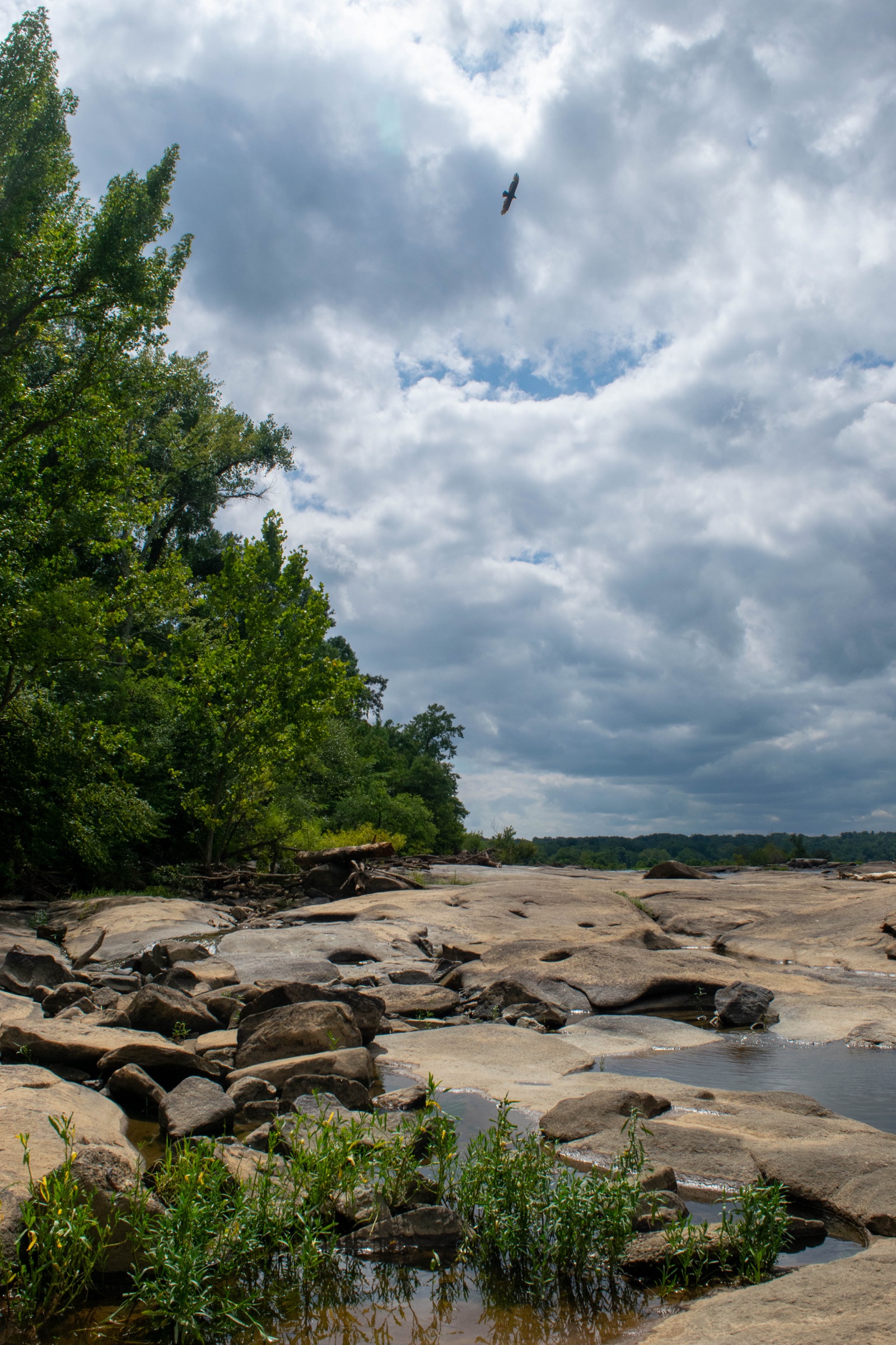 Flat granite rocks along the James River under a cloudy sky, with a bird soaring overhead