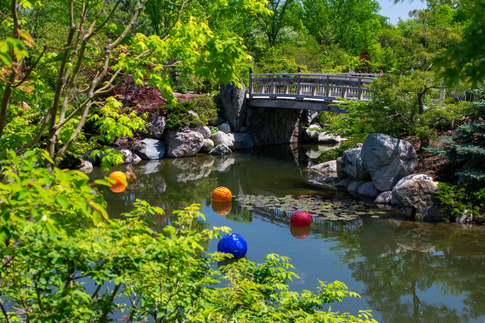 Colorful glass spheres floating in a pond beneath a wooden footbridge